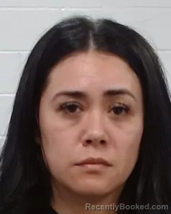 Mugshot of Ana Karen Zuniga booked in Collin County, Texas on April 2, 2026