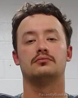 Mugshot of BAILEY REUBEN DOMINA booked in Collin County, Texas on April 3, 2026