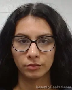 Mugshot of Sarah Al Obaidi booked in Collin County, Texas on April 3, 2026