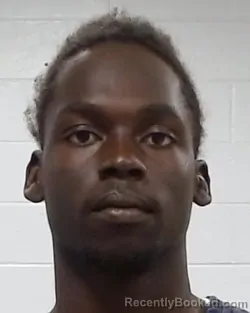 Mugshot of Ibrahimi Osman Mahdi booked in Collin County, Texas on April 3, 2026