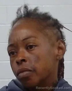 Mugshot of Jessica Micole Wilson booked in Collin County, Texas on April 3, 2026