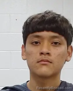 Mugshot of Angel Cabral booked in Collin County, Texas on April 4, 2026