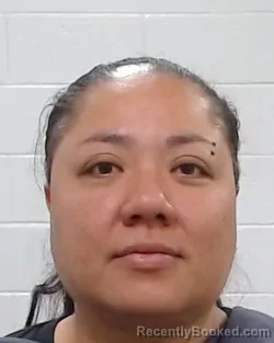 Mugshot of Jennifer Nguyen booked in Collin County, Texas on April 3, 2026