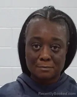 Mugshot of British Renee Smith booked in Collin County, Texas on April 4, 2026