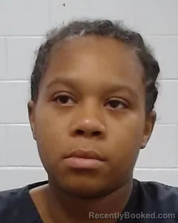 Mugshot of Zaniyah Atarah Yarbrough booked in Collin County, Texas on April 24, 2026