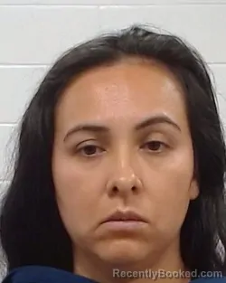 Mugshot of Lillian Torres booked in Collin County, Texas on April 24, 2026