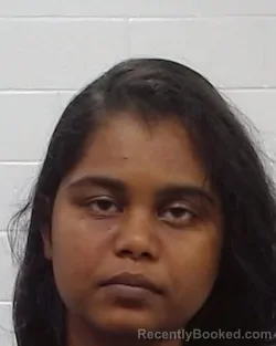 Mugshot of Banu Sindhu Etikala booked in Collin County, Texas on April 24, 2026