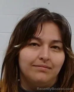 Mugshot of Naomi Ramirez booked in Collin County, Texas on April 28, 2026