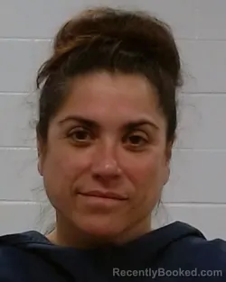 Mugshot of Brooke Ann Branagan Kolniak booked in Collin County, Texas on September 2, 2026