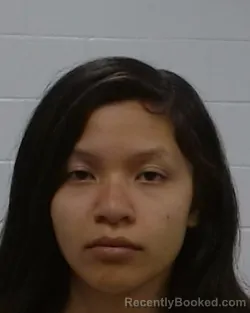 Mugshot of Natalie Minh-Ngoc Nguyen booked in Collin County, Texas on July 7, 2026