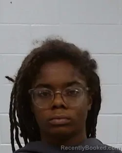 Mugshot of ANTYANNA TRAMEKA MOSHAE WILSON booked in Collin County, Texas on May 6, 2026