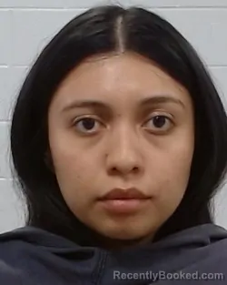 Mugshot of Lisette Nataly Ramirez booked in Collin County, Texas on May 6, 2026