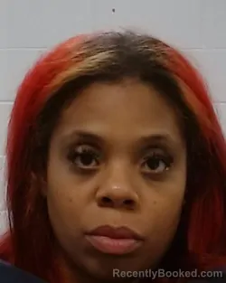 Mugshot of Jasmyne Troynesha Willis booked in Collin County, Texas on May 8, 2026