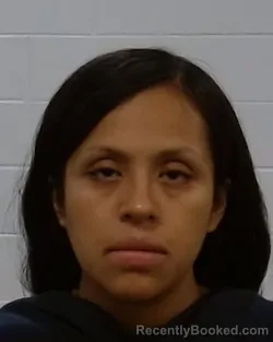 Mugshot of Ana Laura Velazquez booked in Collin County, Texas on May 14, 2026