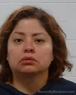 Mugshot of Liz Adriana Salazar Romero booked in Collin County, Texas on May 16, 2026