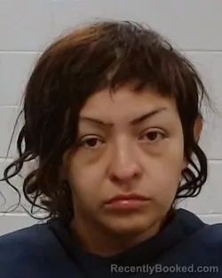 Mugshot of PERLA DALYA SALAZAR booked in Collin County, Texas on May 18, 2026