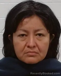 Mugshot of Norma Padron booked in Collin County, Texas on May 20, 2026