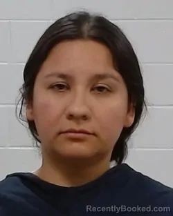 Mugshot of Mireya Elizabeth Lerma booked in Collin County, Texas on May 22, 2026
