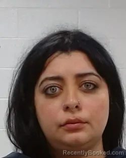 Mugshot of Danah Muneer Belbassi booked in Collin County, Texas on May 23, 2026