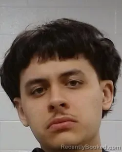 Mugshot of Ethanial Gabriel Fansler booked in Collin County, Texas on May 23, 2026