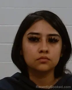 Mugshot of Jathzary Ann Torres Leal booked in Collin County, Texas on May 27, 2026
