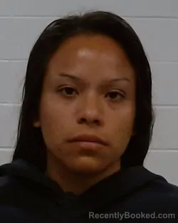 Mugshot of Lizbeth Garcia Garcia booked in Collin County, Texas on May 27, 2026