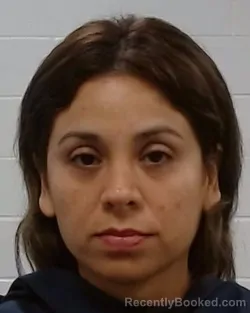 Mugshot of Maria Lucia Zavala-Palacios booked in Collin County, Texas on May 29, 2026