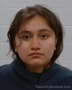 Mugshot of Daija Selena Osorio booked in Collin County, Texas on May 30, 2026