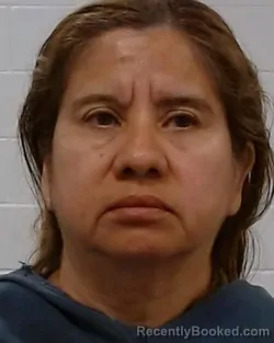 Mugshot of Sonia O Reyes booked in Collin County, Texas on June 1, 2026
