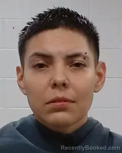 Mugshot of Martha Guzman booked in Collin County, Texas on June 3, 2026