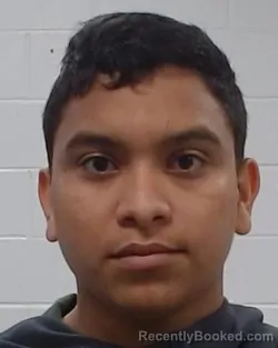 Mugshot of Yonathan Jose Hoyos Mauri booked in Collin County, Texas on June 30, 2026