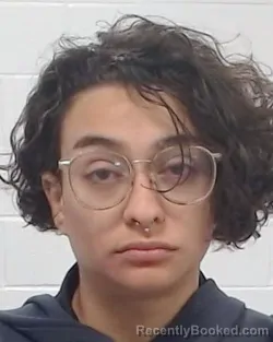 Mugshot of Gabriela Marie Estrada booked in Collin County, Texas on July 3, 2026