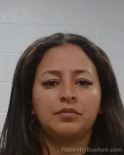 Mugshot of Mairelis Coromoto Gonzalez Bencomo booked in Collin County, Texas on July 4, 2026