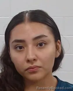 Mugshot of YARITZA YARELI TORRES booked in Collin County, Texas on July 7, 2026