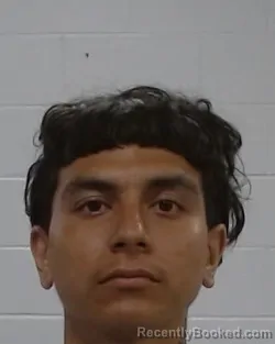 Mugshot of Heber Cisneros booked in Collin County, Texas on July 8, 2026