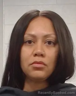 Mugshot of Breanja Olivia Fernandez booked in Collin County, Texas on July 11, 2026