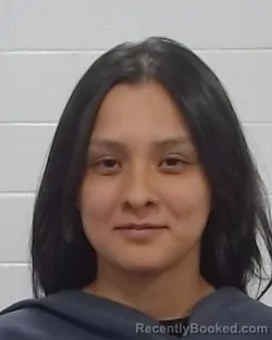Mugshot of Aileen Nicole Martinez booked in Collin County, Texas on July 11, 2026