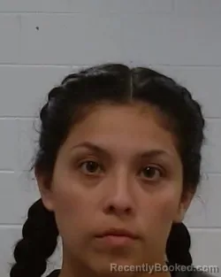 Mugshot of Andrea Lauren Martinez booked in Collin County, Texas on July 16, 2026