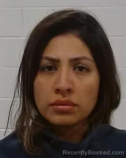 Mugshot of Genesis Alejandra Arellano-Morales booked in Collin County, Texas on July 17, 2026