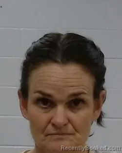 Mugshot of Lacey Ann James booked in Collin County, Texas on July 18, 2026