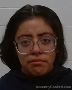 Mugshot of Daniela Angela Hernandez booked in Collin County, Texas on July 24, 2026
