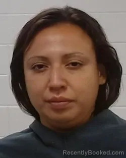 Mugshot of Hilda Esperanza Ramirez booked in Collin County, Texas on August 3, 2026