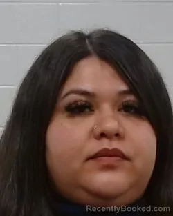 Mugshot of Vanesa Rivera booked in Collin County, Texas on August 8, 2026