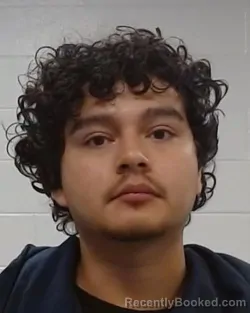 Mugshot of Alex Esteban Rodriguez booked in Collin County, Texas on August 17, 2026