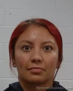 Mugshot of Lesslie Orona booked in Collin County, Texas on August 20, 2026