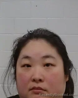 Mugshot of Ann Song booked in Collin County, Texas on August 18, 2026