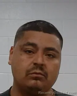 Mugshot of Joey Gregory Rodriguez booked in Collin County, Texas on August 23, 2026