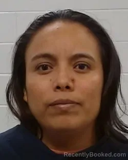 Mugshot of Norma Aide Lopez Zamora booked in Collin County, Texas on August 27, 2026