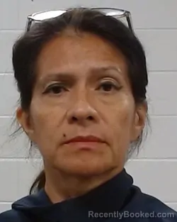 Mugshot of Juana Gabriela Reed booked in Collin County, Texas on August 28, 2026