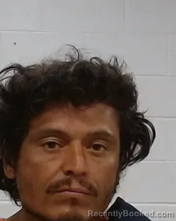 Mugshot of Eric Ian Flores booked in Collin County, Texas on August 29, 2026